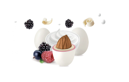 Maxtris Yogurt ai Frutti di Bosco