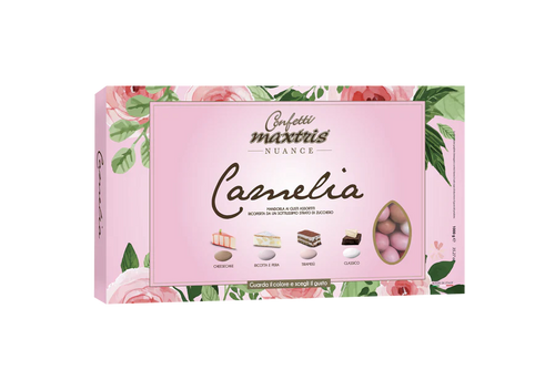 Maxtris Nuance Camelia