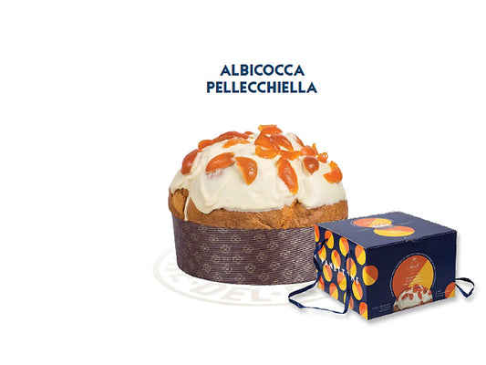 Panettone Artigianale Albicocche Pellecchielle del Vesuvio Mennella